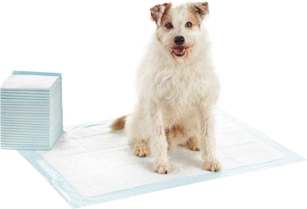 dog pad