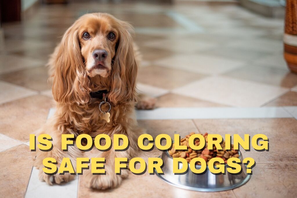 Is food coloring safe for dogs