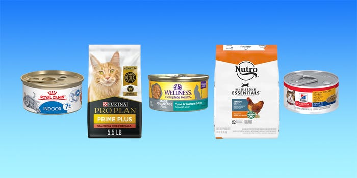 Best Wet Cat Food for Senior Cats