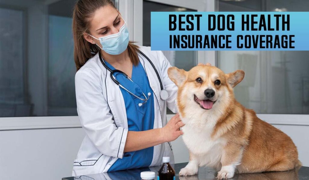 Dog Health Insurance Coverage