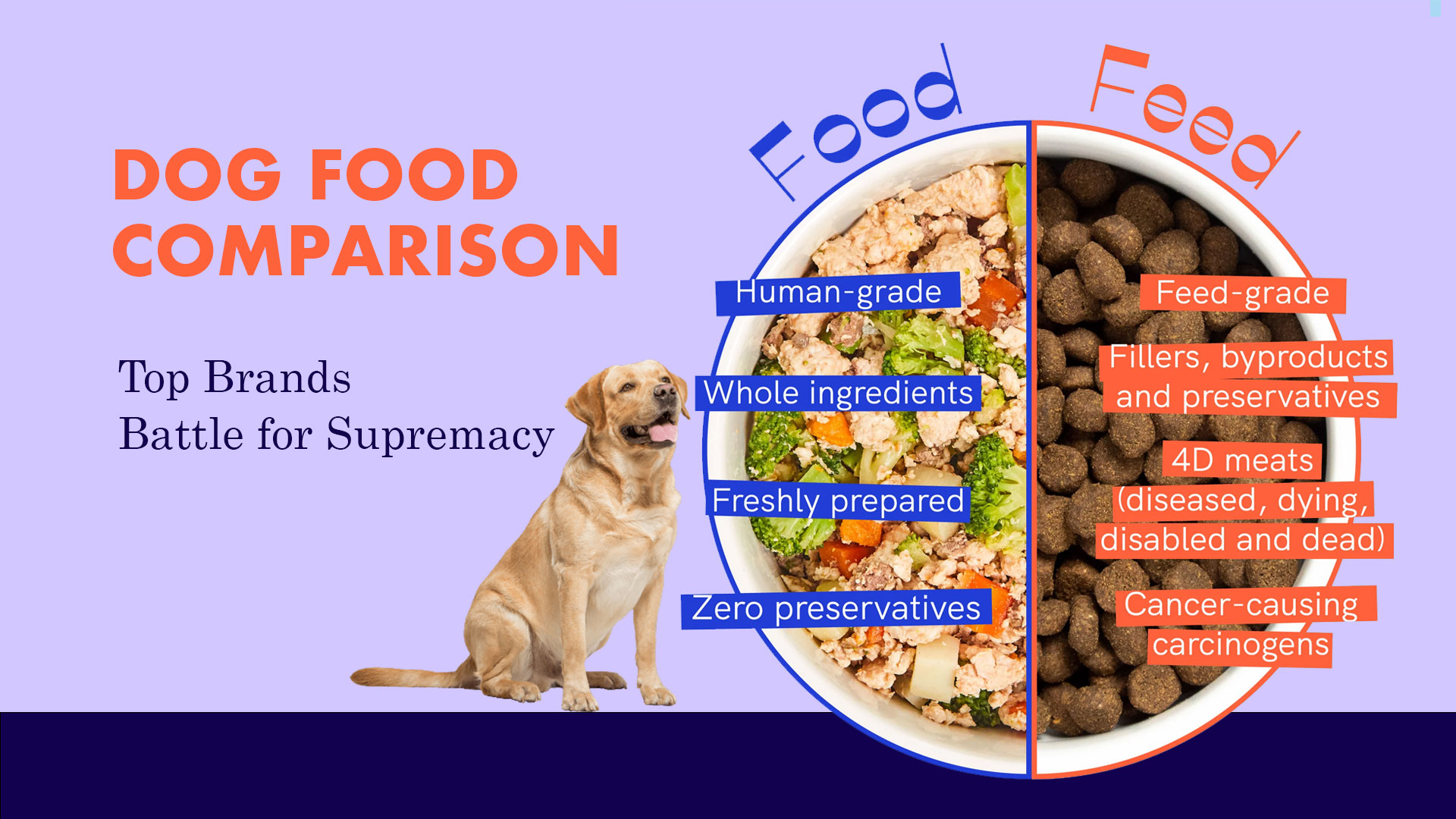 DOG FOOD COMPARISON