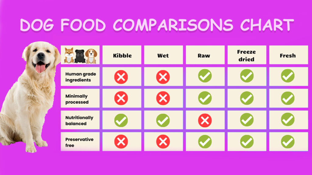 Dog Food Comparisons Chart