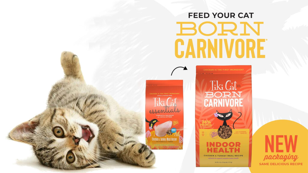 Tiki Cat Dry Food Review